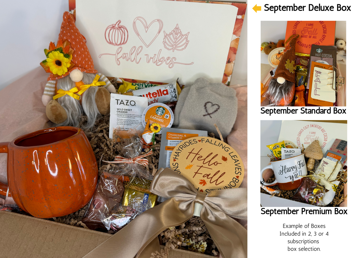 College Subscription Care Package Fall Semester 2025