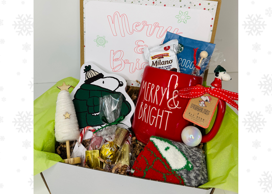 Holiday Gift Box for College Student Dorm or Apartment, Snoopy Vibes , Finals Care Package